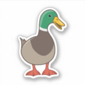 かわいいキャラクターのマガモ シール (正面)