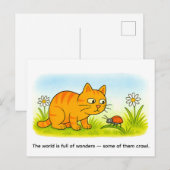 かわいいキャラクターの猫が牧草地でてんとう虫を見ている ポストカード (正面/裏面)