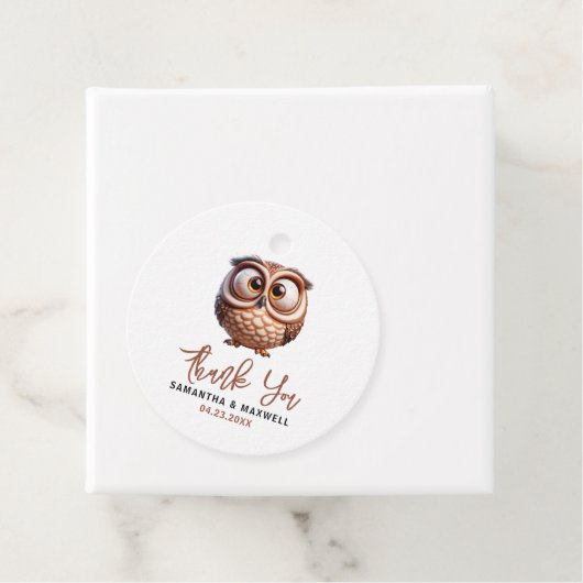 かわいいキャラチャーフクロウ男の赤ちゃんシャワー フェイバータグ (インサイチュ)