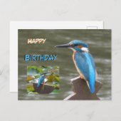 かわいいキングフィッシャーズハッピーバースデーはがき ポストカード (正面/裏面)