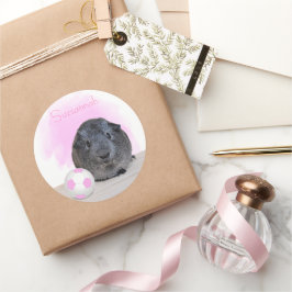 かわいいギニアピッグピンクサッカーボール名前をカスタムする ラウンドシール