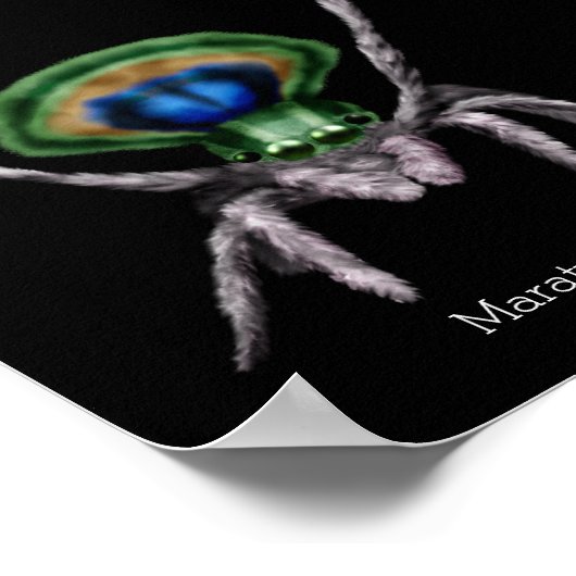 かわいいクジャックスパイダーデジタルアート ポスター (角)