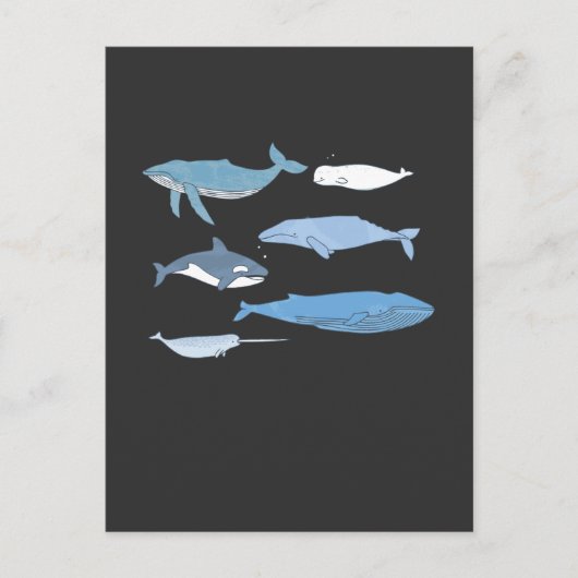 かわいいクジラスケッチ海獣教育 ポストカード (正面)