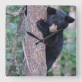 かわいいクマのキューブツリーまたは自分の写真角壁C スクエア壁時計 (正面)