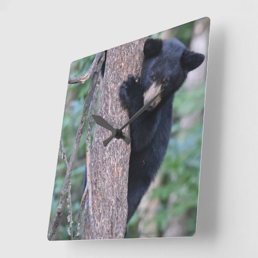 かわいいクマのキューブツリーまたは自分の写真角壁C スクエア壁時計 (傾斜)