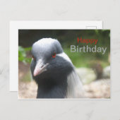 かわいいクマのハッピーバースデーポストカード ポストカード (正面/裏面)