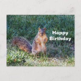 かわいいクマの写真の誕生日 ポストカード