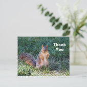 かわいいクマの写真をありがとう ポストカード (スタンド正面)