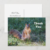 かわいいクマの写真をありがとう ポストカード (正面/裏面)