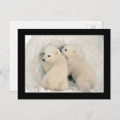 かわいいクマの子ども葉書 ポストカード (正面/裏面)