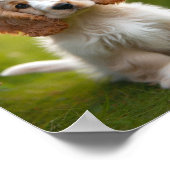 かわいいクランバースパニエル犬の子犬 ポスター (角)