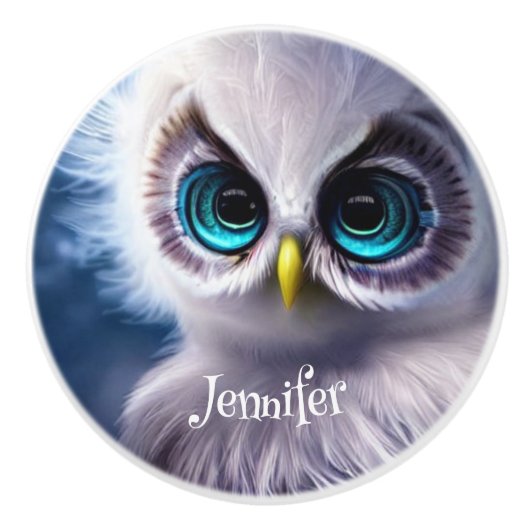 かわいいクリスタルブルーアイベビーフクロウ名前をカスタムする セラミックノブ (正面)