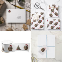 かわいいクリスマスのキウイカスタム