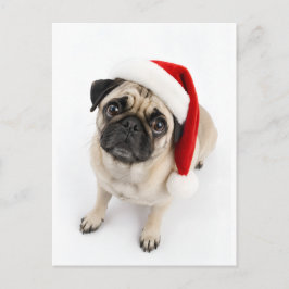 かわいいクリスマスの子犬 ポメラニアン サンタの帽子 犬の目 ポストカード