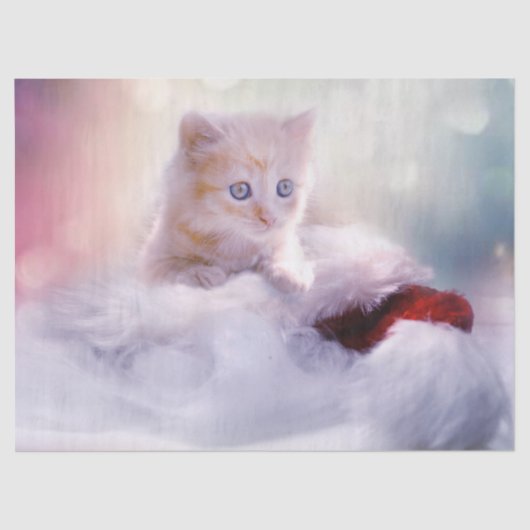 かわいいクリスマスの子猫の写真 薄葉紙 (正面)