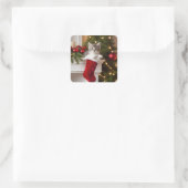 かわいいクリスマスの子猫 スクエアシール (バッグ)