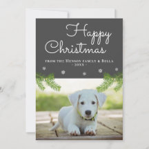 かわいいクリスマスの松の枝と雪の結晶の犬の写真