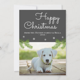 かわいいクリスマスの松の枝と雪の結晶の犬の写真 カード