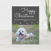 かわいいクリスマスの松の枝と雪の結晶の犬の写真