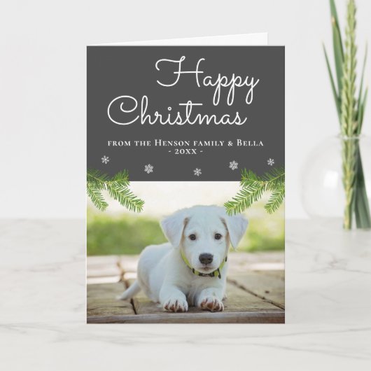 かわいいクリスマスの松の枝の雪の結晶の犬の写真 カード (正面)