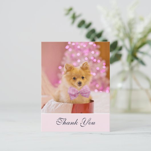 かわいいクリスマスの犬のピンクの蝶ネクタイの写真 ありがとう ポストカード (スタンド正面)