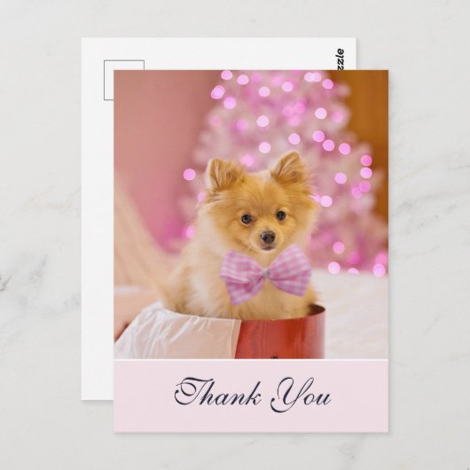 かわいいクリスマスの犬のピンクの蝶ネクタイの写真 ありがとう ポストカード (正面/裏面)
