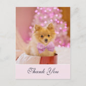 かわいいクリスマスの犬のピンクの蝶ネクタイの写真 ありがとう ポストカード (正面)