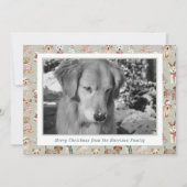 かわいいクリスマスの犬の写真 シーズンカード (正面)
