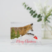 かわいいクリスマスの狐と赤いオーナメント ポストカード (スタンド正面)