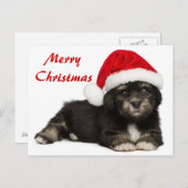 かわいいクリスマスのHavaneseの小犬 シーズンポストカード (正面/裏面)