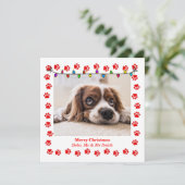 かわいいクリスマスカーカスタムドと写真&ポーズ シーズンカード (スタンド正面)