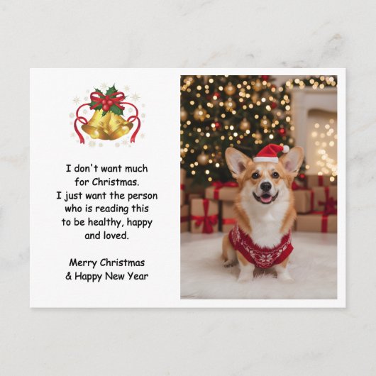 かわいいクリスマスコーギーの犬のカスタム写真 シーズンポストカード (正面)