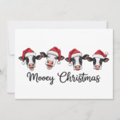 かわいいクリスマスコー モーイ クリスマスハイランドカウ シーズンカード (正面)