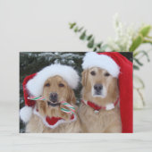 かわいいクリスマスゴールデンレトリバーフラットカード シーズンカード (スタンド正面)