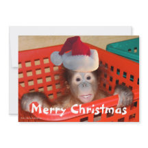 かわいいクリスマスサンタフォトカード