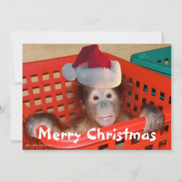 かわいいクリスマスサンタフォトカード 招待状