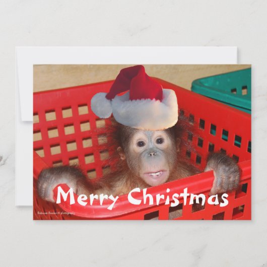 かわいいクリスマスサンタフォトカード 招待状 (正面)