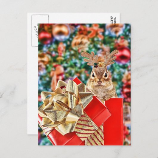 かわいいクリスマスチップムンク シーズンポストカード (正面/裏面)