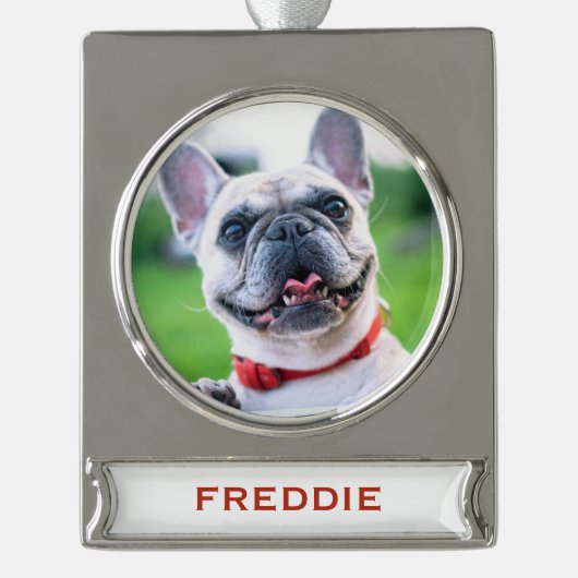 かわいいクリスマスドッグや猫ペットのフォトホリデー シルバープレートバナーオーナメント (正面)