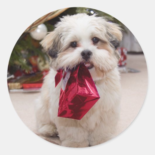 かわいいクリスマスドッグステッカー ラウンドシール (正面)