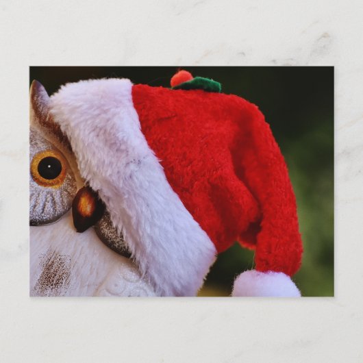 かわいいクリスマスフクロウ、メリークリスマスサンタフクロウ シーズンポストカード (正面)