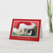 かわいいクリスマスモルモット シーズンカード (正面)