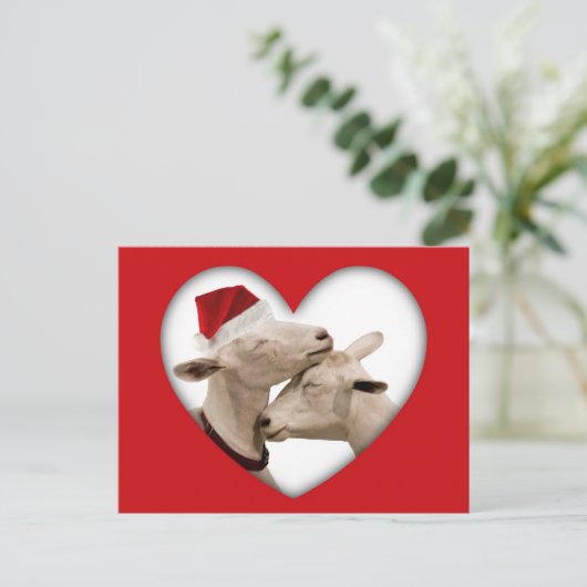 かわいいクリスマスヤギのカップル シーズンポストカード (スタンド正面)