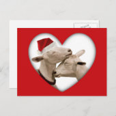 かわいいクリスマスヤギのカップル シーズンポストカード (正面/裏面)