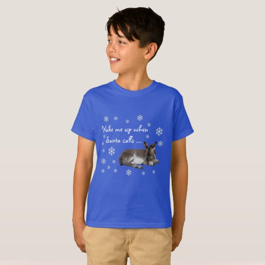 かわいいクリスマスロバの雪の結晶 Tシャツ (正面フル)