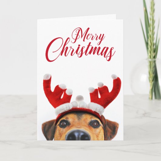 かわいいクリスマス犬のトナカイの角のヘアバンド カード (正面)