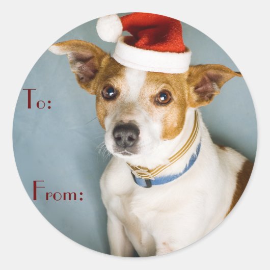 かわいいクリスマス犬の名札 ラウンドシール (正面)