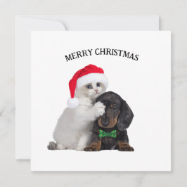 かわいいクリスマス猫とおもしろい犬クリスマスカード