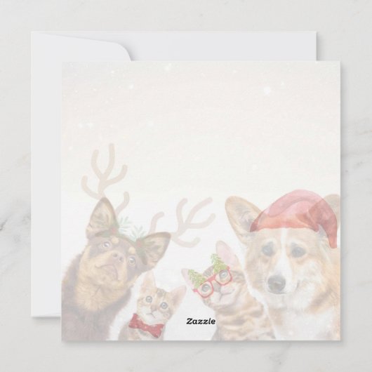 かわいいクリスマス猫と犬おもしろい動物 シーズンカード (裏面)