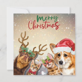かわいいクリスマス猫と犬おもしろい動物 シーズンカード